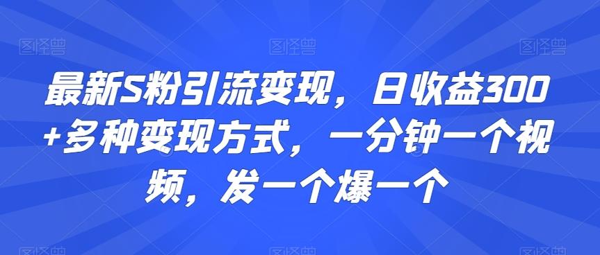 最新S粉引流变现，日收益300+多种变现方式，一分钟一个视频，发一个爆一个【揭秘】-我爱自学网