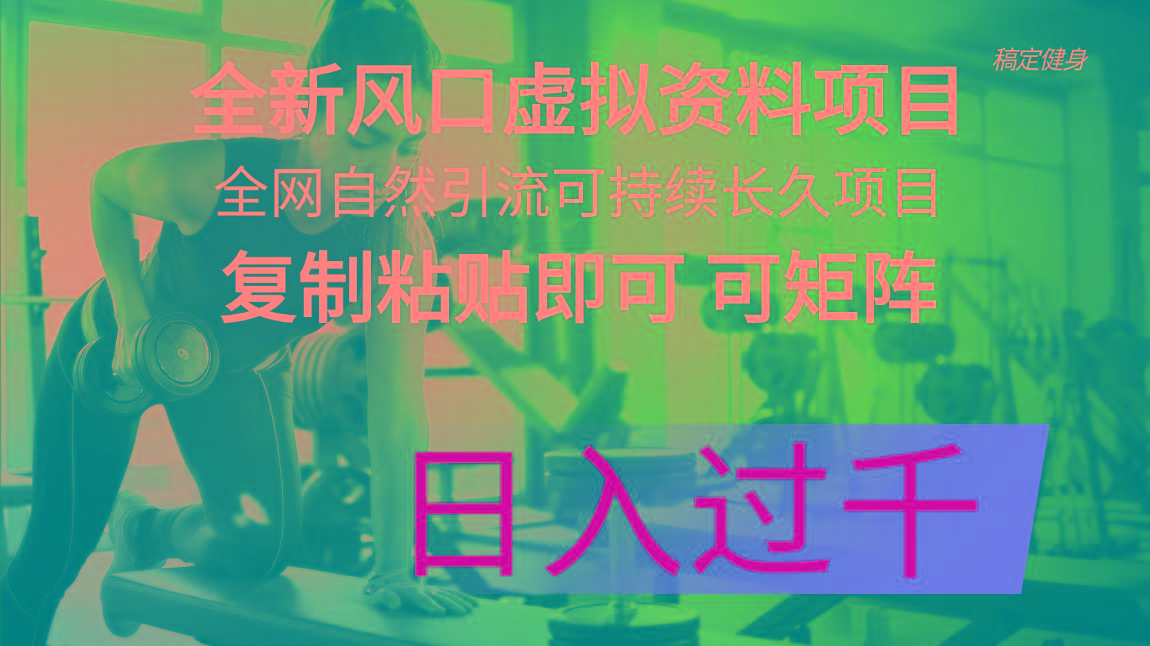 全新风口虚拟资料项目 全网自然引流可持续长久项目 复制粘贴即可可矩阵…-我爱自学网