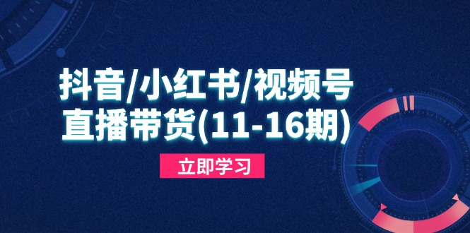 抖音/小红书/视频号/直播带货(11-16期-我爱自学网