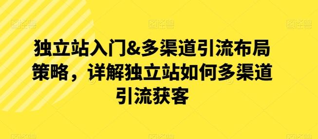 独立站入门&多渠道引流布局策略，详解独立站如何多渠道引流获客-我爱自学网