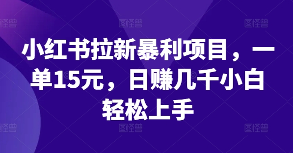 小红书拉新暴利项目，一单15元，日赚几千小白轻松上手【揭秘】-我爱自学网