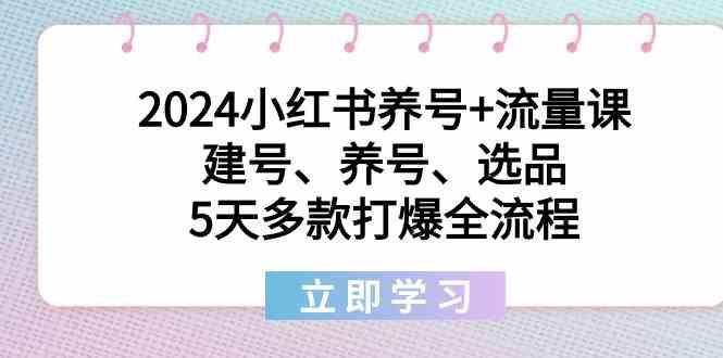 2024小红书养号+流量课：建号、养号、选品，5天多款打爆全流程-我爱自学网