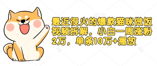 最近很火的爆款猫咪做饭视频拆解，小白一周涨粉2万，单条10万+播放(附保姆级教程)-我爱自学网