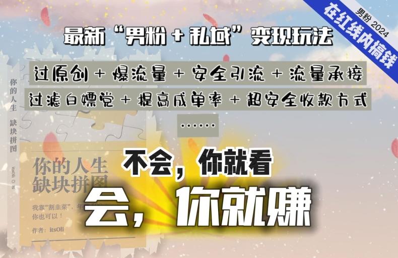 2024，“男粉+私域”还是最耐造、最赚、最轻松、最愉快的变现方式【揭秘】-我爱自学网