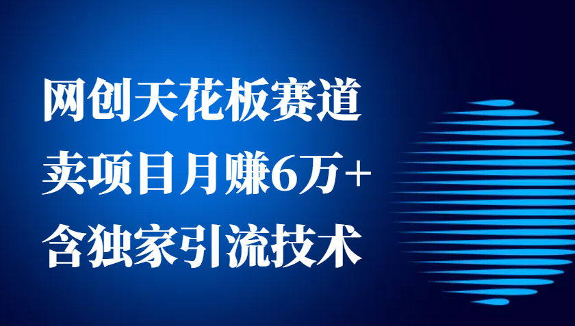 网创天花板赛道，卖项目月赚6万+，含独家引流技术(共26节课)-我爱自学网