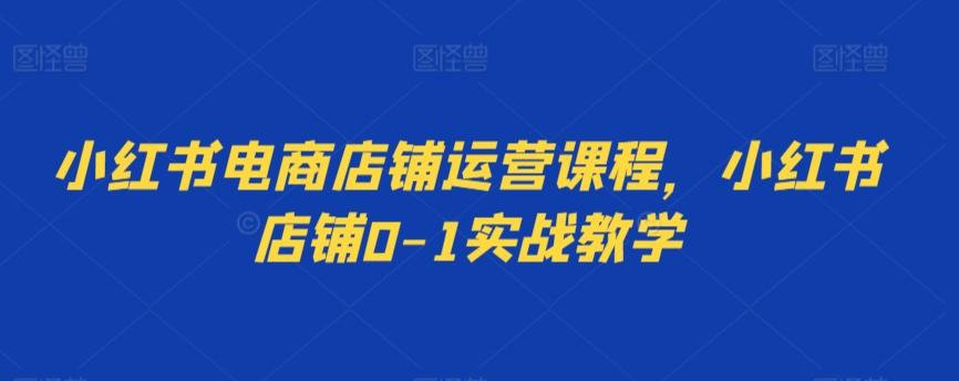 小红书电商店铺运营课程，小红书店铺0-1实战教学-我爱自学网
