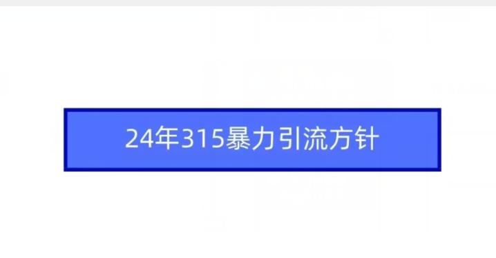 24年315暴力引流方针-我爱自学网