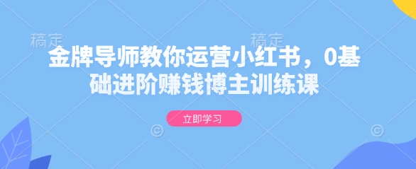 金牌导师教你运营小红书，0基础进阶赚钱博主训练课-我爱自学网