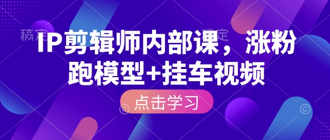 IP剪辑师内部课，涨粉跑模型+挂车视频-我爱自学网