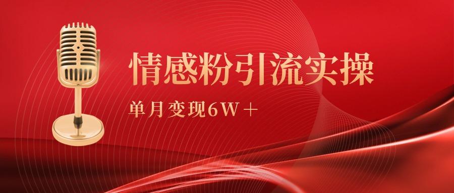 (9473期)单月变现6w+，情感粉引流变现实操课-我爱自学网
