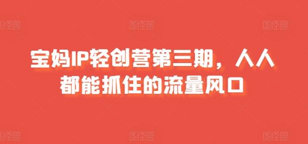 宝妈IP轻创营第三期，人人都能抓住的流量风口-我爱自学网
