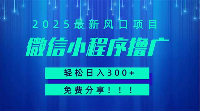 微信小程序撸广，最新风口项目，日入300+ 免费分享 可批量操作 小白可…-我爱自学网