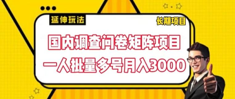 国内调查问卷矩阵项目，一人批量多号月入3000【揭秘】-我爱自学网