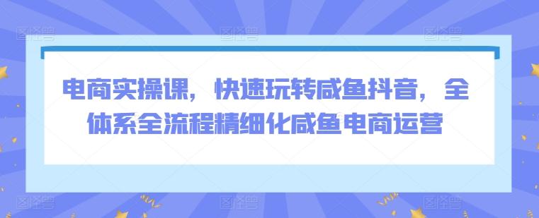 电商实操课，快速玩转咸鱼抖音，全体系全流程精细化咸鱼电商运营-我爱自学网