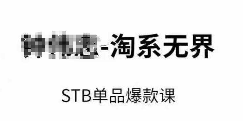 淘系无界STB单品爆款课(2024)，付费带动免费的核心逻辑，万相台无界关键词推广/精准人群的核心-我爱自学网