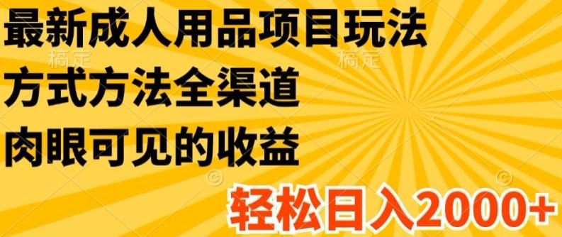 最新成人用品项目玩法，方式方法全渠道，轻松日入2K+【揭秘】-我爱自学网