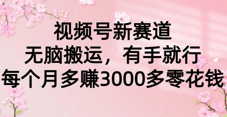 (9278期)视频号新赛道，无脑搬运，有手就行，每个月多赚3000多零花钱-我爱自学网