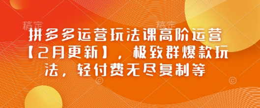 拼多多运营玩法课高阶运营【2月更新】，极致群爆款玩法，轻付费无尽复制等-我爱自学网