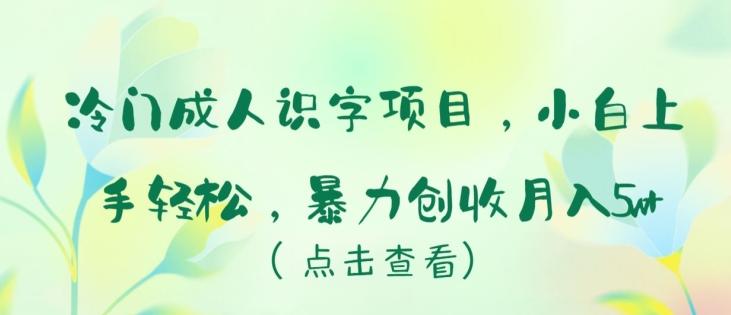冷门成人识字项目，小白上手轻松，暴力创收月入5w+【揭秘】-我爱自学网