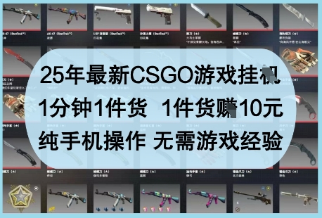 25年最新CSGO游戏挂G，1分钟1件货，1件货挣10元，纯手机操作，无需游戏经验【揭秘】-我爱自学网