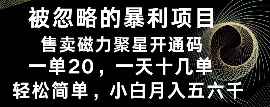 被忽略的暴利项目！售卖磁力聚星开通码，一单20，一天十几单，轻松月入五六千-我爱自学网