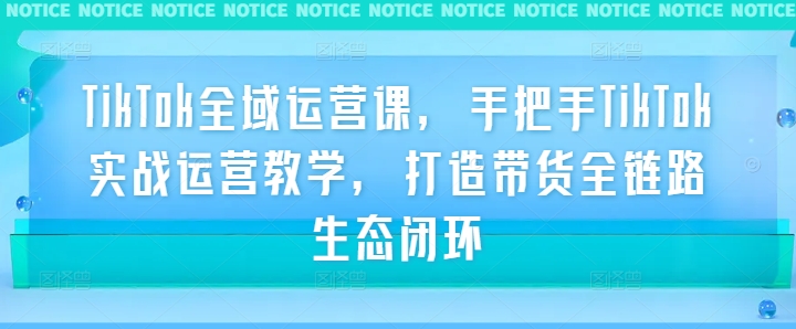TikTok全域运营课，手把手TikTok实战运营教学，打造带货全链路生态闭环-我爱自学网