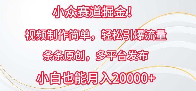 小众赛道掘金，视频制作简单，轻松引爆流量，条条原创，多平台发布【揭秘】-我爱自学网