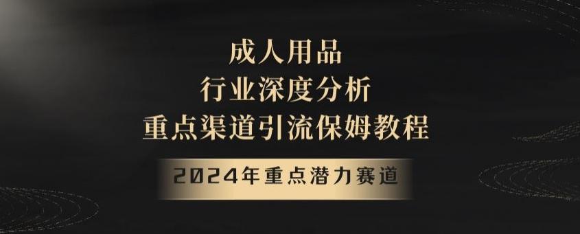 2024年重点潜力赛道，成人用品行业深度分析，重点渠道引流保姆教程【揭秘】-我爱自学网