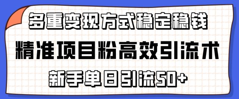 精准项目粉高效引流术，新手单日引流50+，多重变现方式稳定赚钱【揭秘】-我爱自学网