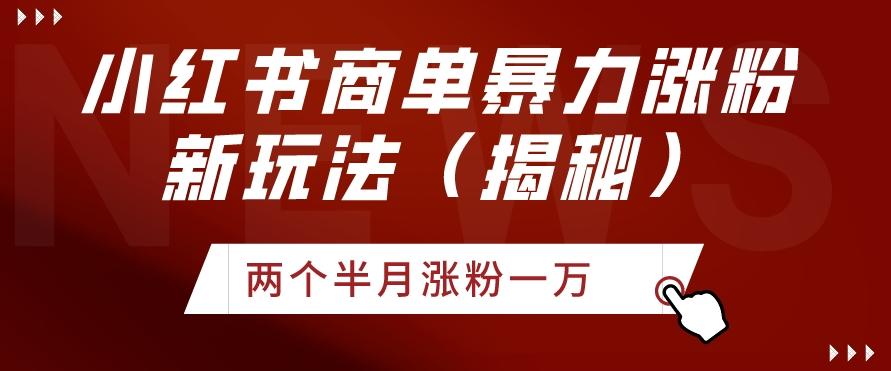 小红书商单暴力涨粉新玩法两个半月涨粉一万（揭秘）-我爱自学网