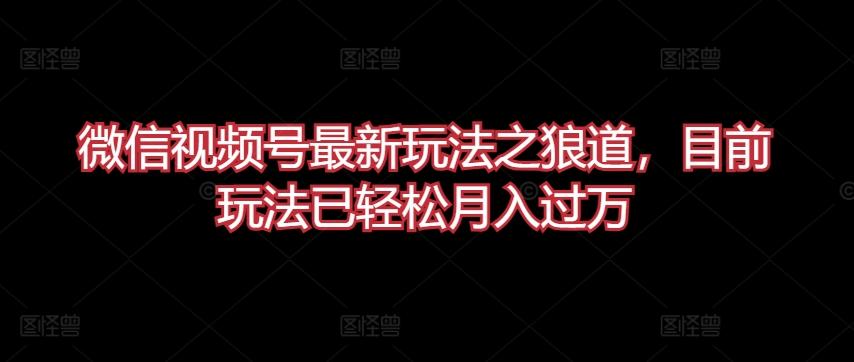 微信视频号最新玩法之狼道，目前玩法已轻松月入过万【揭秘】-我爱自学网