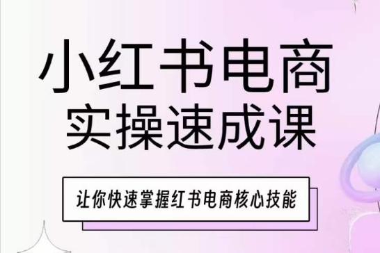 小红书电商实操速成课，让你快速掌握红书电商核心技能-我爱自学网