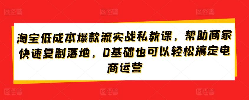 淘宝低成本爆款流实战私教课，帮助商家快速复制落地，0基础也可以轻松搞定电商运营-我爱自学网
