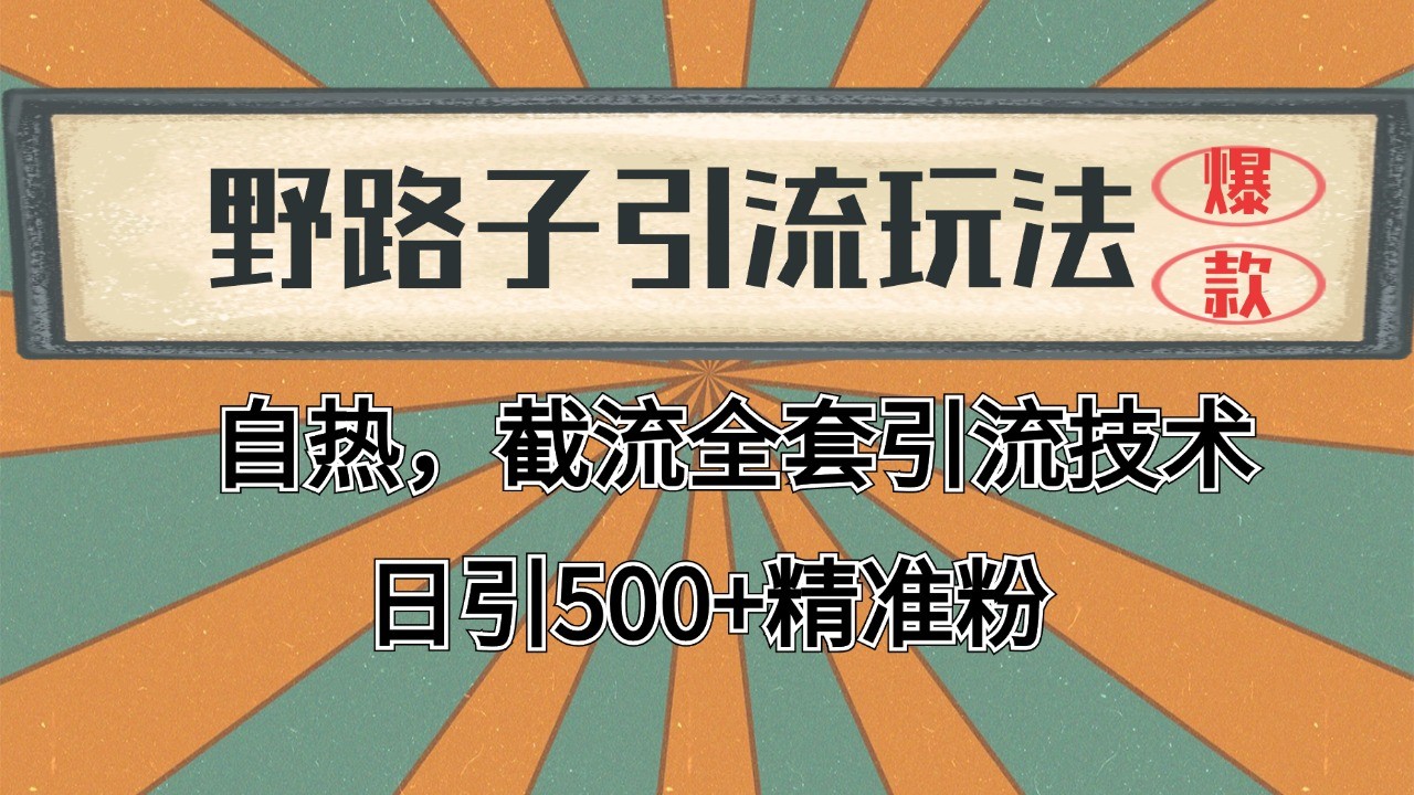 抖音小红书视频号全平台引流打法，全自动引流日引2000+精准客户-我爱自学网