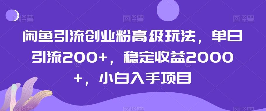 闲鱼引流创业粉高级玩法，单日引流200+，稳定收益2000+，小白入手项目-我爱自学网