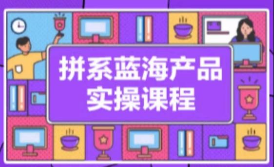 拼系冷门蓝海产品实操课程，从注册店铺到选品上架到流量维护环环相扣-我爱自学网