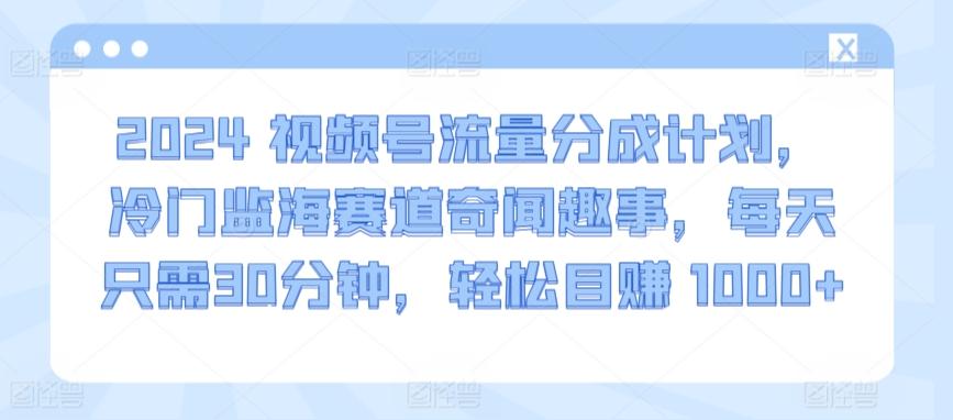 2024视频号流量分成计划，冷门监海赛道奇闻趣事，每天只需30分钟，轻松目赚 1000+【揭秘】-我爱自学网