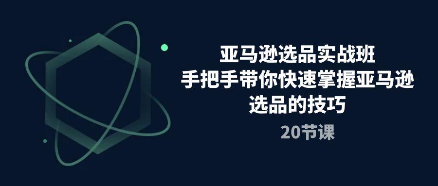 亚马逊选品实战班，手把手带你快速掌握亚马逊选品的技巧(20节课-我爱自学网