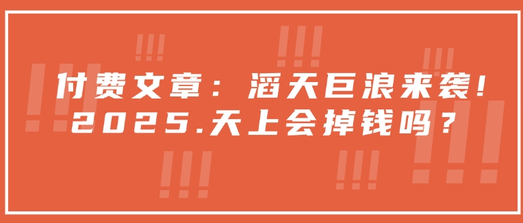 付费文章：滔天巨浪来袭！2025天上会掉钱吗？-我爱自学网