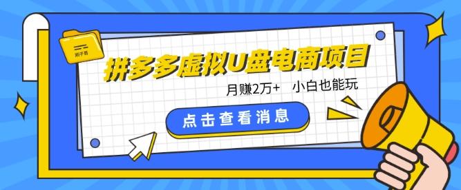 拼多多虚拟U盘电商红利项目：月赚2万+，新手小白也能玩-我爱自学网