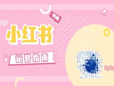 小红书运营指南，没有套路，全是经验-我爱自学网