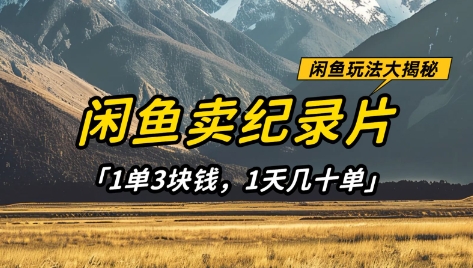 闲鱼卖纪录片1单3块钱，1天几十单，项目稳定有潜力-我爱自学网