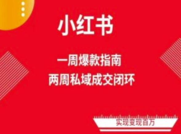 爆款小红书免费流量体系课程(两周变现)，小红书电商教程-我爱自学网