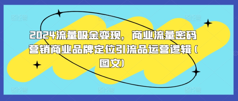 2024流量吸金变现，商业流量密码营销商业品牌定位引流品运营逻辑(图文)-我爱自学网