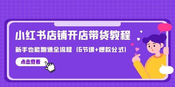(9883期)最新小红书店铺开店带货教程，新手也能跑通全流程(6节课+爆款公式)-我爱自学网
