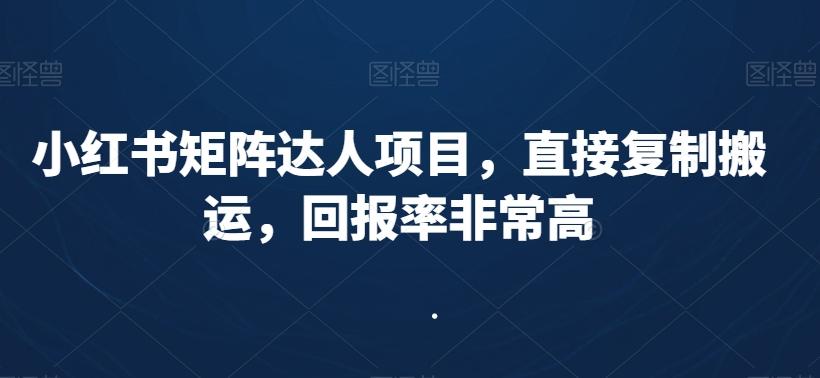 小红书矩阵达人项目，直接复制搬运，回报率非常高-我爱自学网