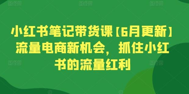 小红书笔记带货课【6月更新】流量电商新机会，抓住小红书的流量红利-我爱自学网