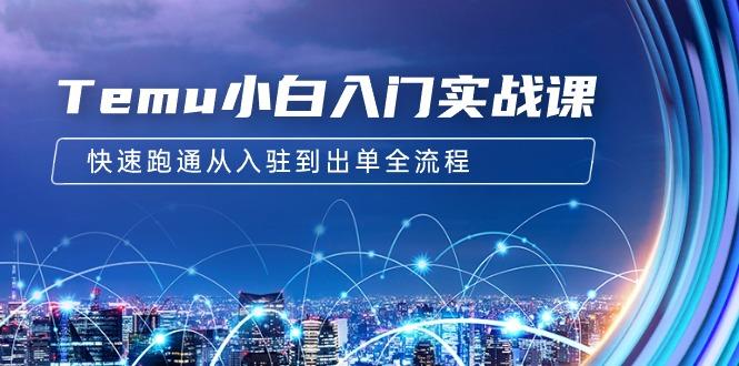 (9295期)Temu小白入门实战课：跨境拼多多电商培训 快速跑通从入驻到出单全流程-12节-我爱自学网