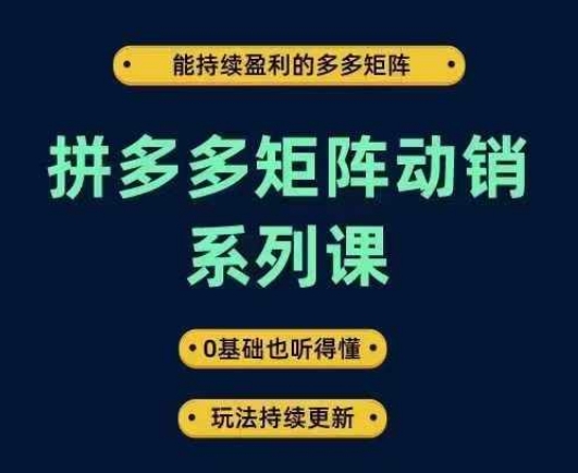 拼多多矩阵动销系列课，能持续盈利的多多矩阵，0基础也听得懂，玩法持续更新-我爱自学网
