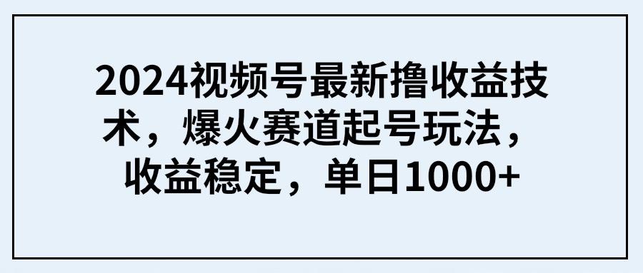(9651期) 2024视频号最新撸收益技术，爆火赛道起号玩法，收益稳定，单日1000+-我爱自学网